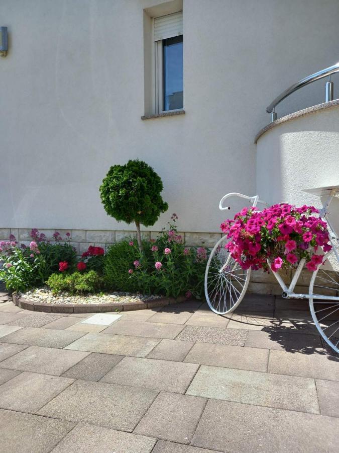 Garfild 1 Guest House Novi Vinodolski Esterno foto